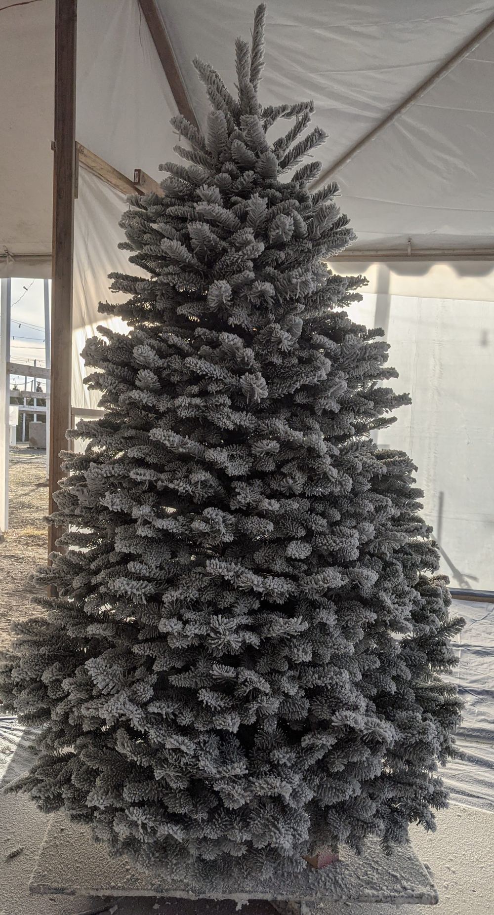 A tall, heavily flocked tree standing on a tray inside a white tent