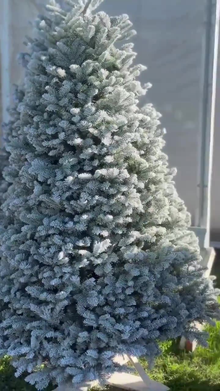Christmas tree evenly covered in white flocking so it looks dusted with snow